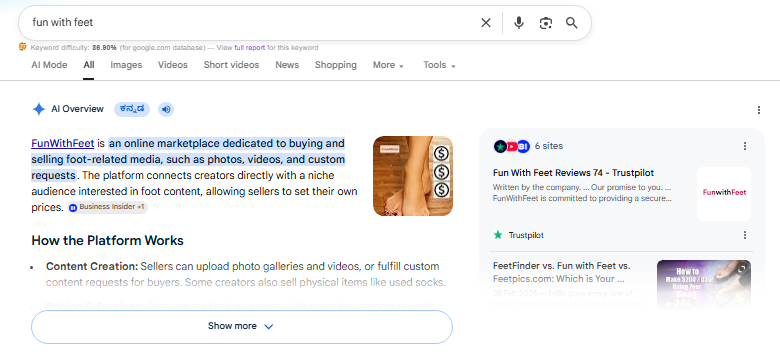 Google search results for Fun With Feet showing official website