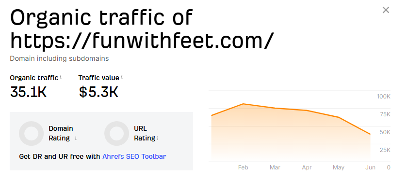 Ahrefs organic traffic overview for Fun With Feet website showing estimated traffic and keyword growth